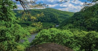 Best places to visit in Springfield &ndash; Pennsylvania