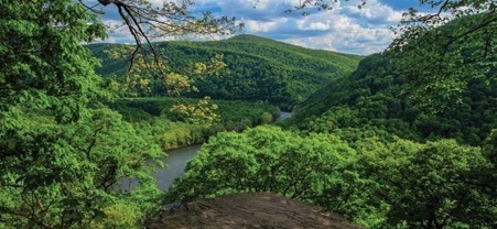 Best places to visit in Springfield &ndash; Pennsylvania